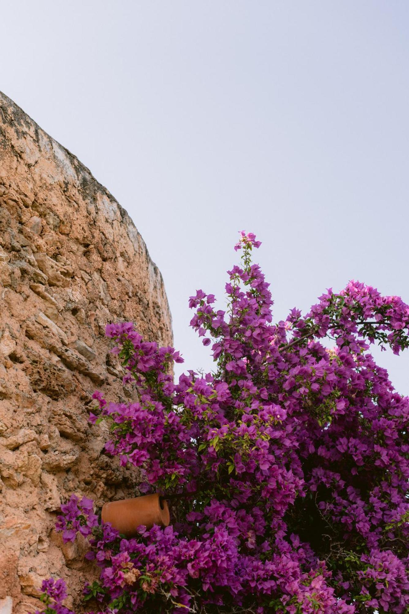 Can Quince de Balafia - Turismo de Interior Sant Llorenç de Balàfia Exterior foto